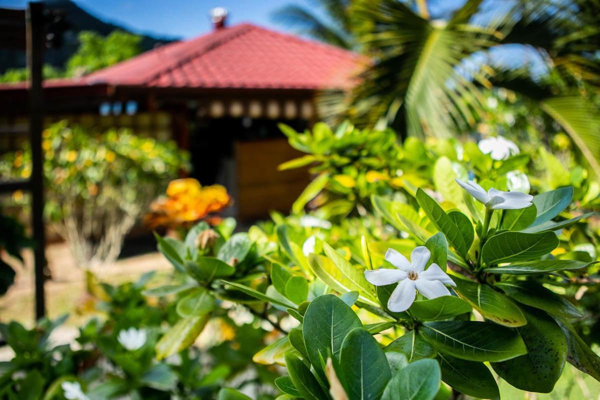 Raiatea Sur Mer Opoa Kültér fotó