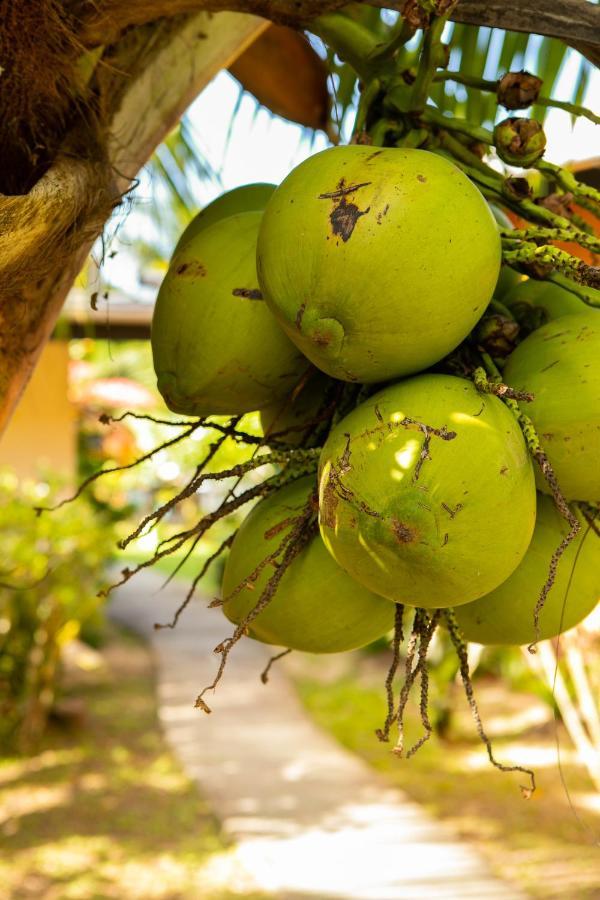 Raiatea Sur Mer Opoa Kültér fotó