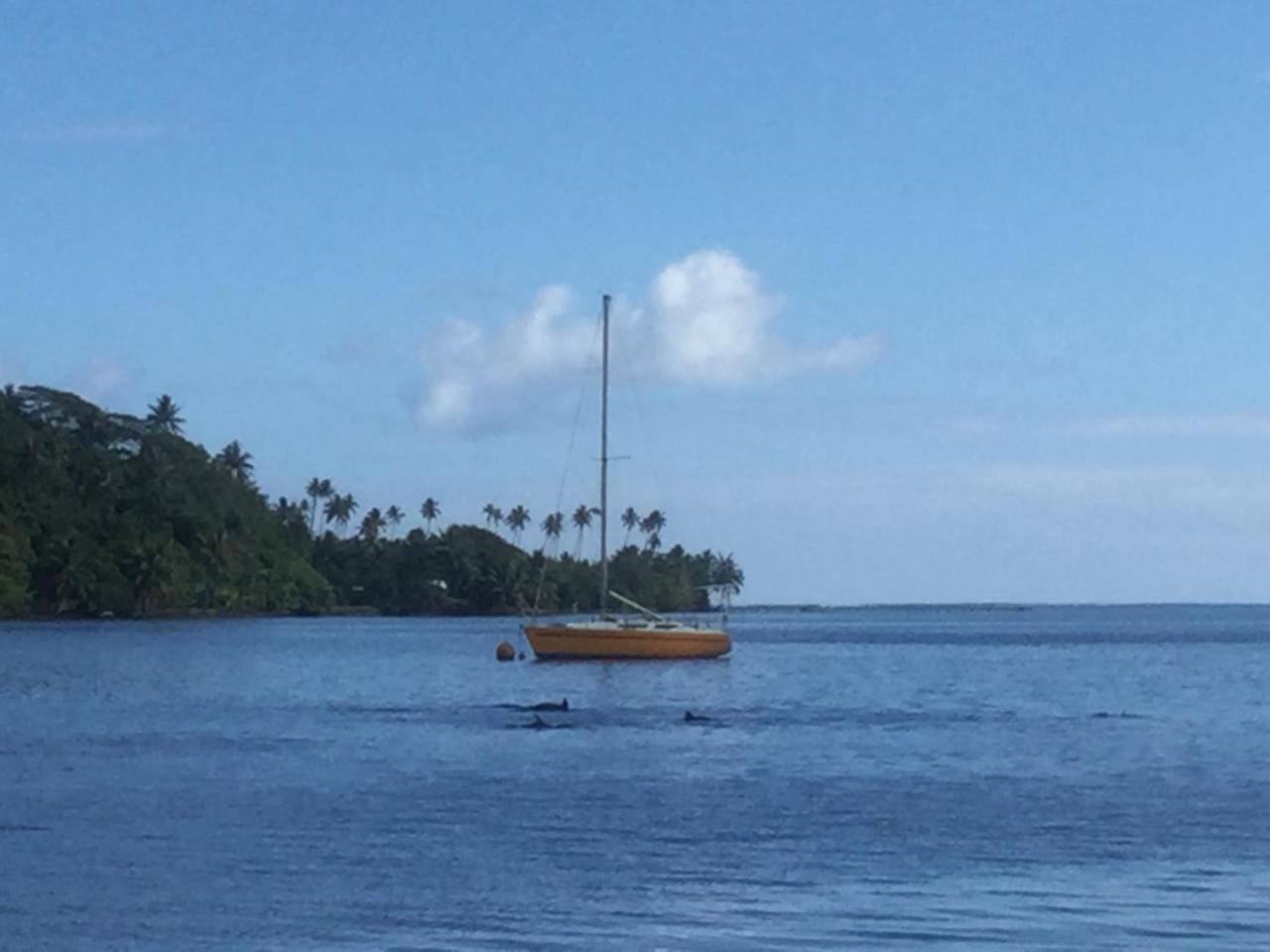 Raiatea Sur Mer Opoa Kültér fotó
